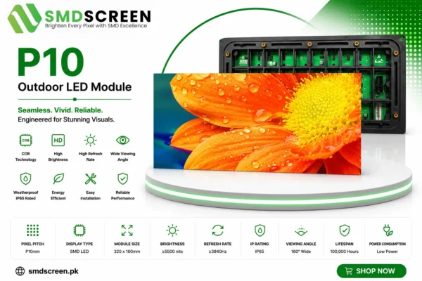 P10 Outdoor LED Module